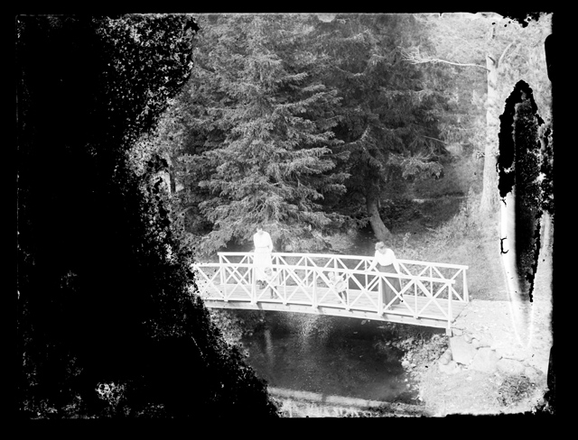 Loodusvaade: kaks naist ja last jalakäijate sillal suurte puude vahel