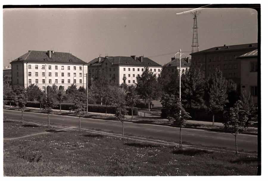 Tallinn, haljasala