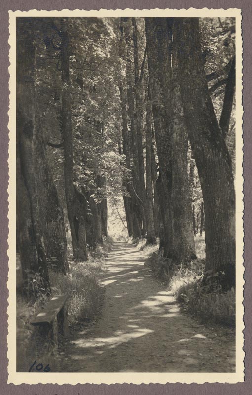foto albumis, Viljandi, Mõttetarga (Filosoofia) allee, u 1920, foto J. Riet