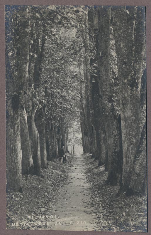 foto albumis, Viljandi, Mõttetarga allee, u 1910, foto J. Riet