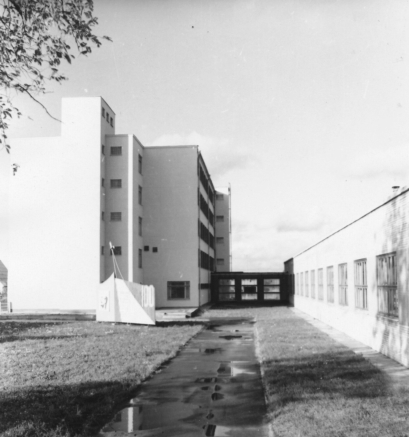 Foto. Vaade valmivale Piimatoodete Kombinaadi adminhoonele ja tootmiskorpusele raudteejaama poolt 1970.a.
