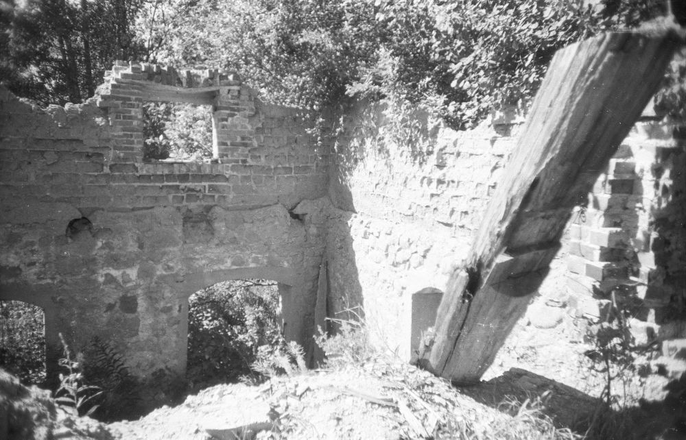 Pringi vesiveski varemed