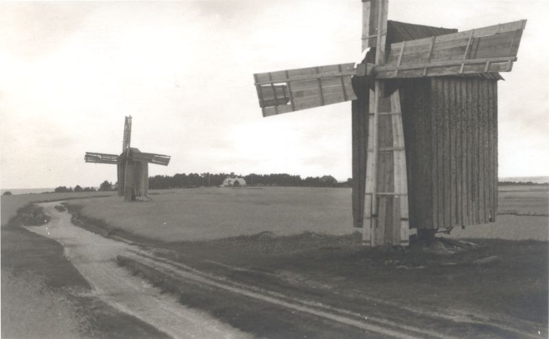 Foto. Tuulikud Vormsi saarel. 1934. Fotogr. J. Grünthal.