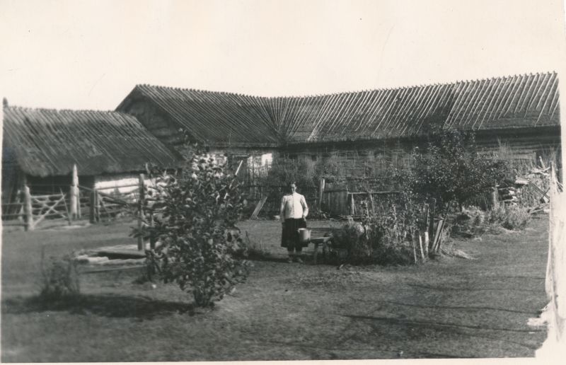 Foto. Vormsi. Laudad ja taluõu Kärsläti külas. 18.08.1924. Fotogr. G. Vilbaste.