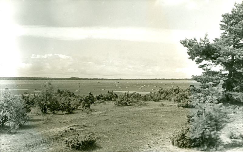 Foto. Vormsi saar. Rand. 1934. ERKA-foto.