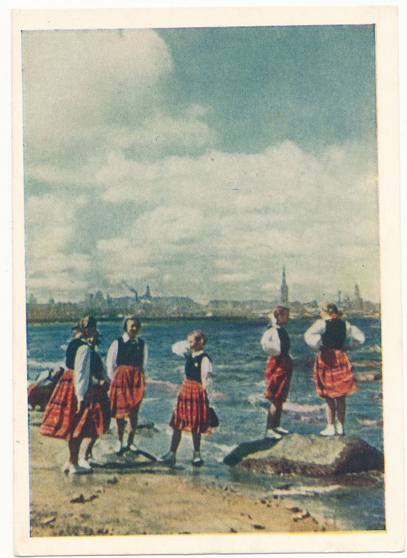 Postkaart. Tallinna vaade. Lahe kaldal.