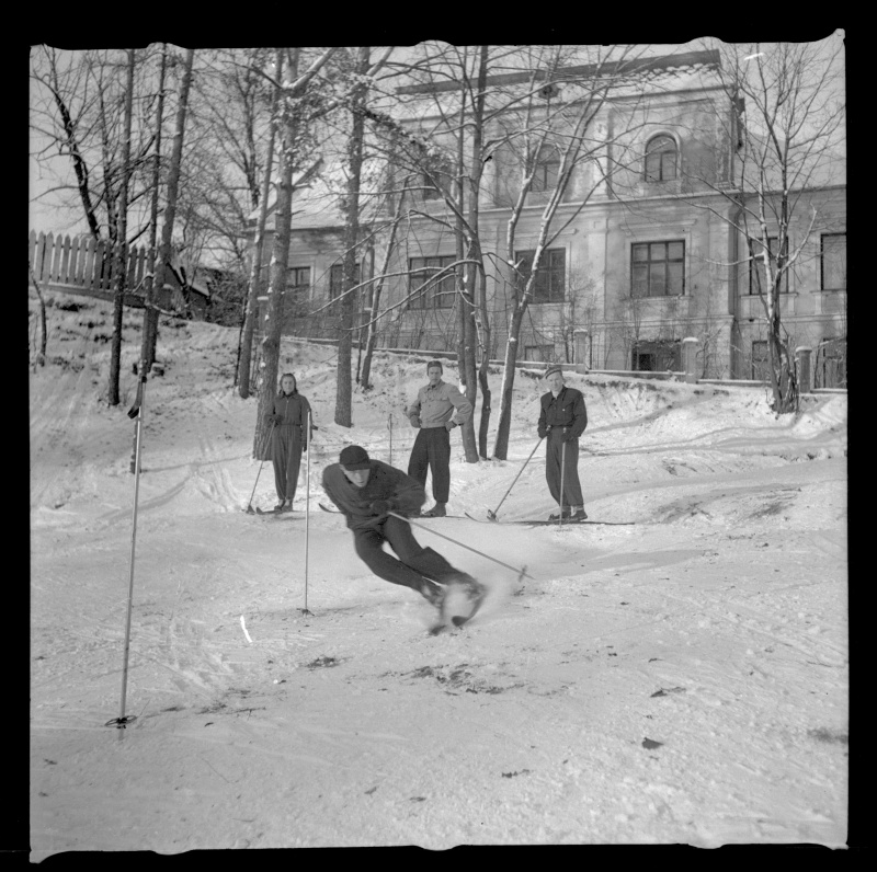 Suusataja slaalomit sõitmas