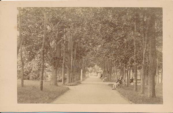 Toomemägi: allee, taga Inglisild. Tartu, 1880-1890.