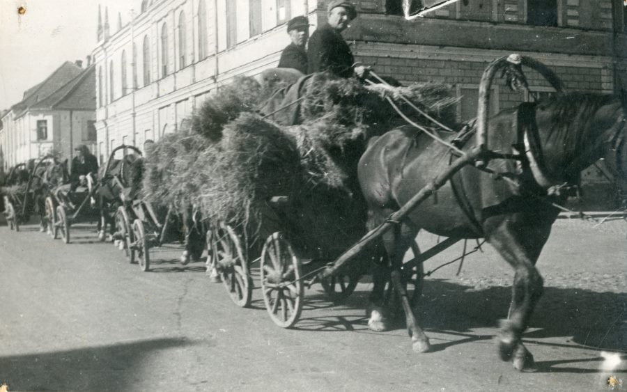 Foto, Sauga valla talupojad toovad riigile vilja ja linu.
