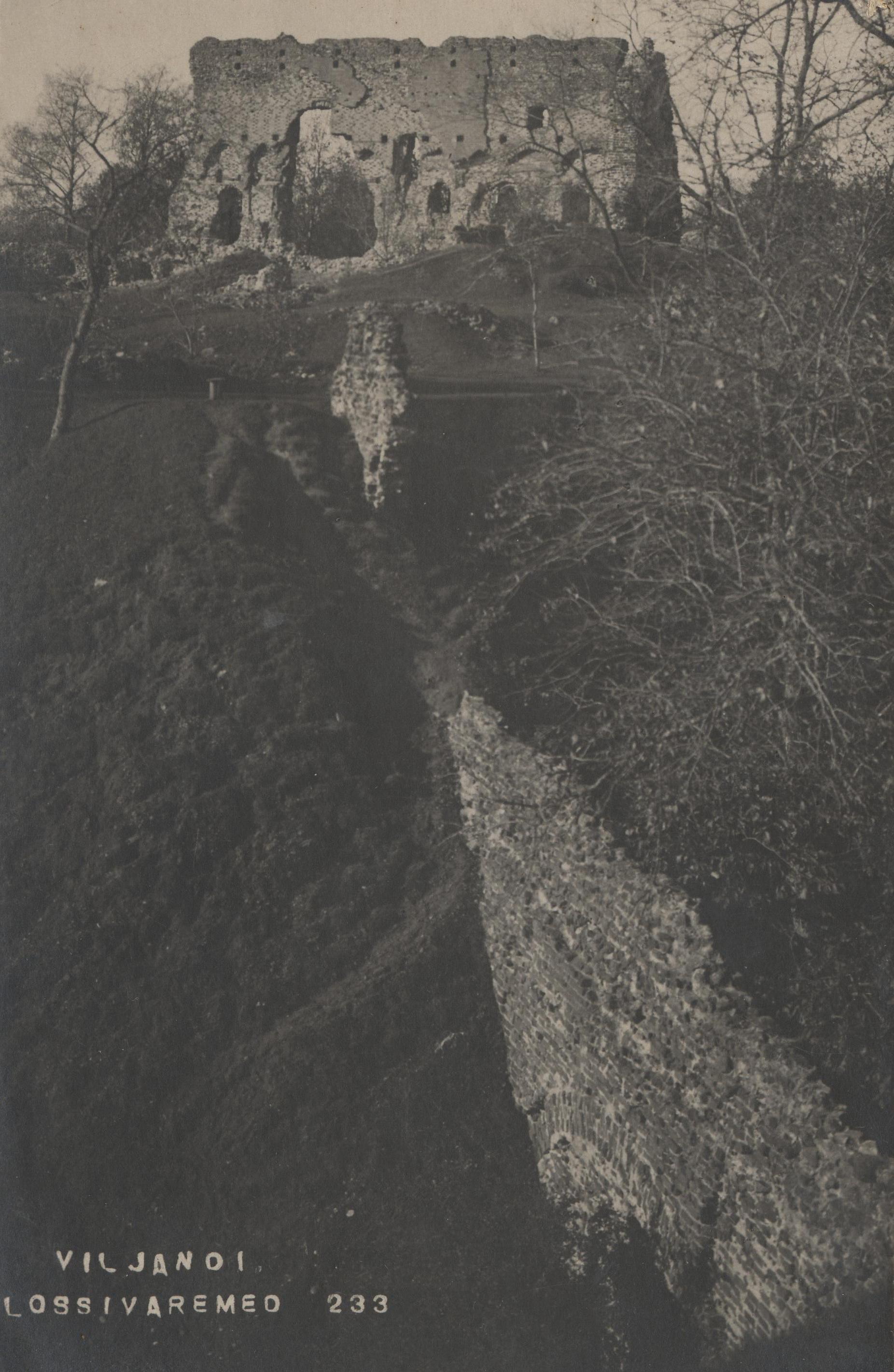 Viljandi castle roofs