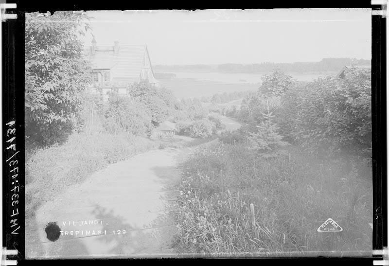 fotonegatiiv, Viljandi, Trepimägi, villa Eiche, järv, u 1920, foto J. Riet