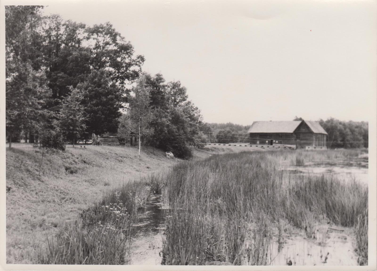 Veski Kurgja-Linnutajal. Vaade idast.