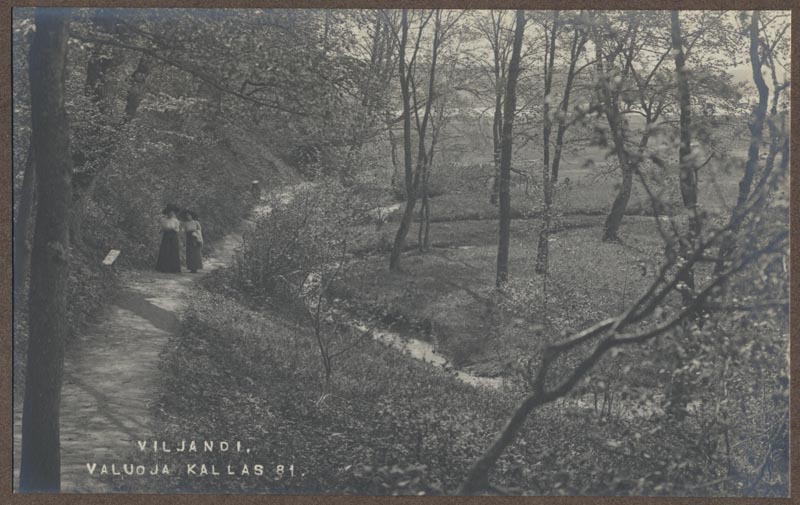 foto albumis, Viljandi, Valuoja org, eemal Viljandi järv, 1910, foto J. Riet