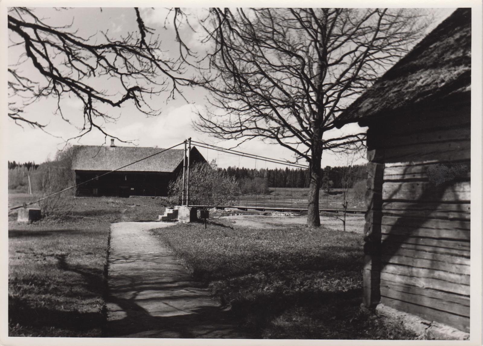 Kurgja-Linnutaja. Vaade kagust Kurgja-Linnutaja veskile.
