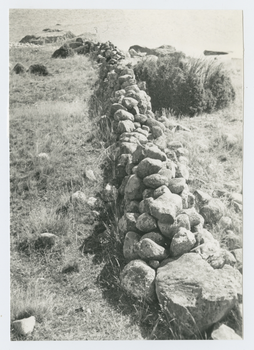Põllukividest laotud kiviaed Aksi saarel