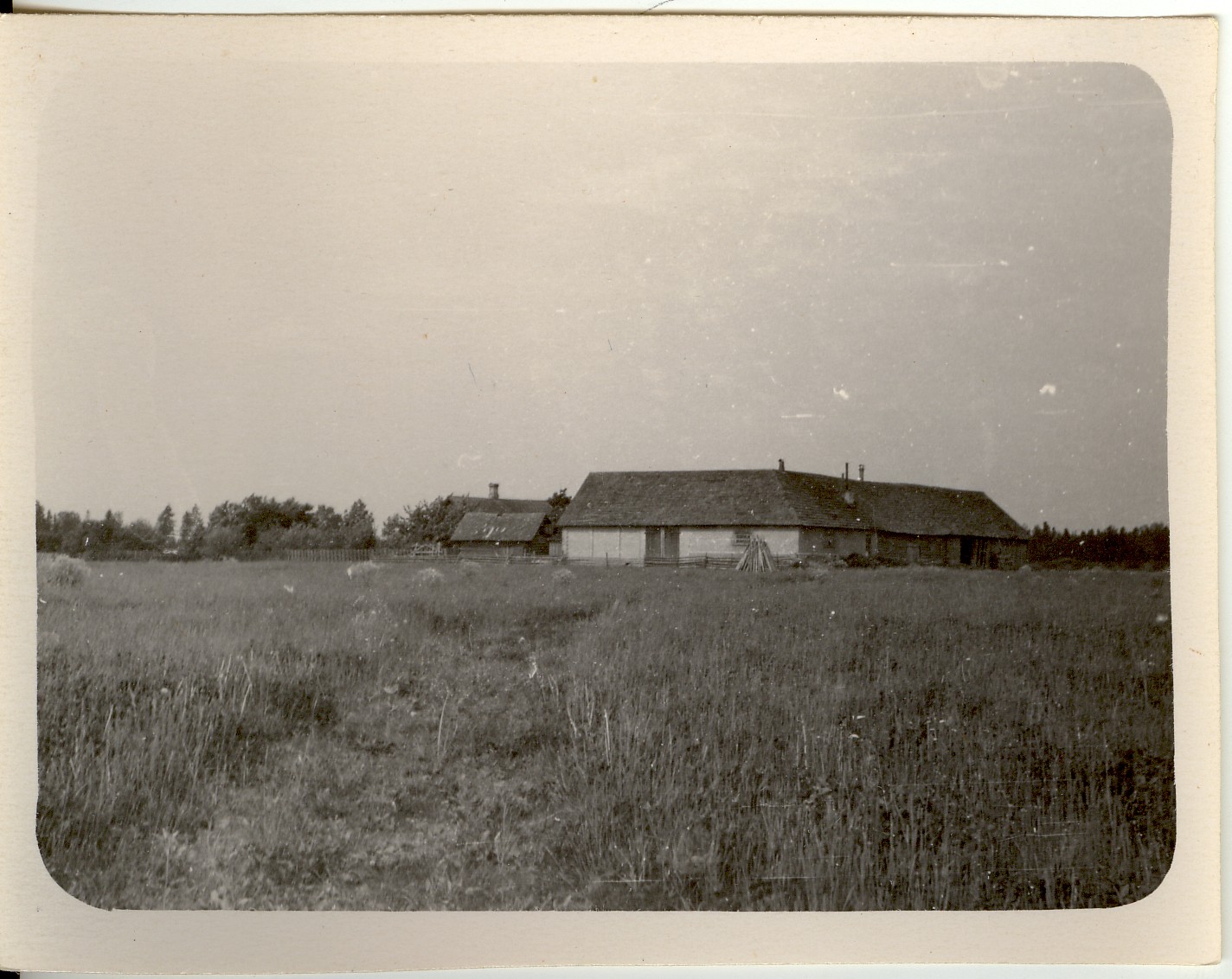 foto, Koidula talu hooned Kuusnas Koeru k/n 1959.a.