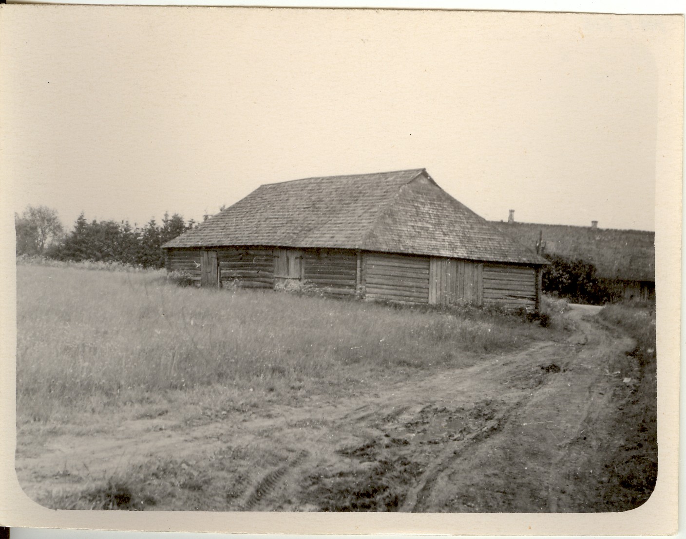 foto,  Kuusna mõisa rehi Koeru k/n 1959.a.