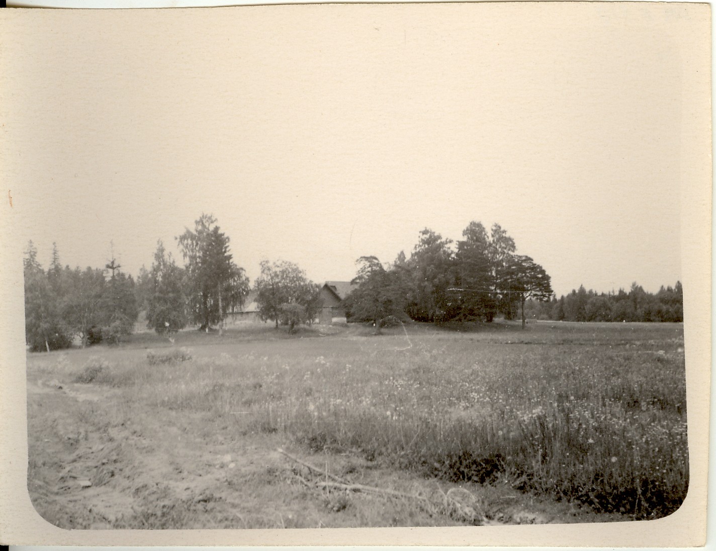 foto, Tellismäe talu  Kuusnas  Koeru k/n 1959.a.