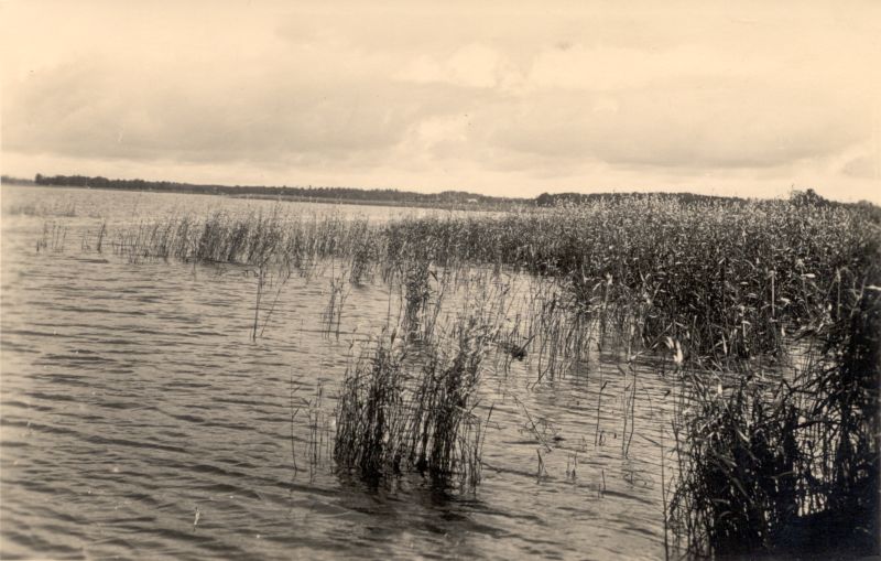 Foto. Haapsalu. Vaade nn. Aafrika kaldalt kõrkjastunud lahele. 1934. ERKA-foto.