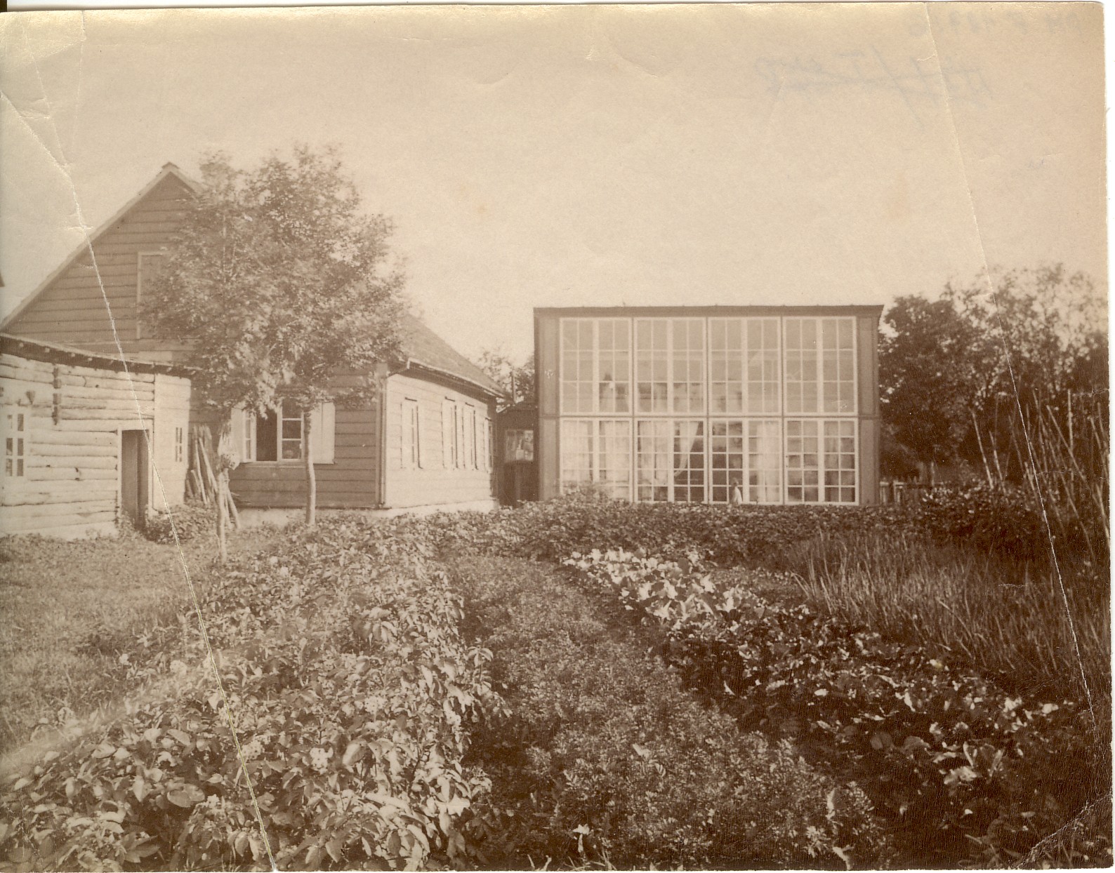 foto, Livenströmi kodu ja ateljee vaade 19.saj.