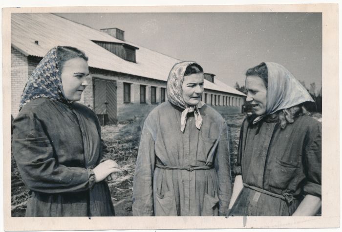 Foto. Märjamaa sovhoosi karjatalitajad Maria Männik, Rosalia Kilk, Emilia Kudinova. 1956. Foto E. Norman.