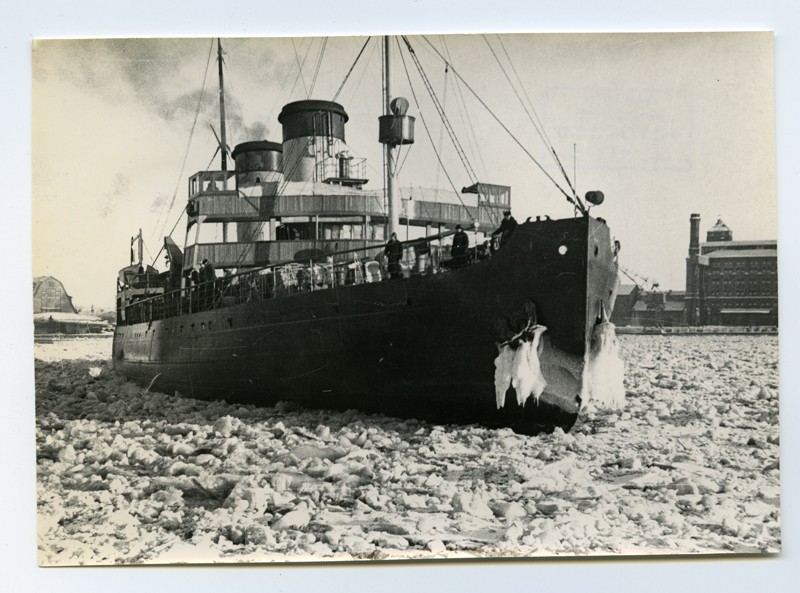 Icebreaker "Great Dog"
