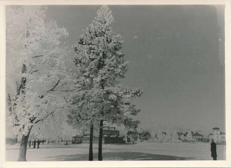 Foto. Talvine vaade 21. juuni puiesteele ja Kuursaalile Haapsalus. 1958.a. veebr. Mustvalge.