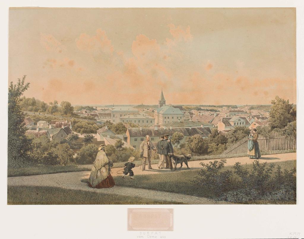 Dorpat vom Dome aus