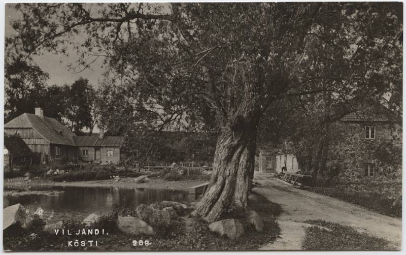 fotopostkaart, Viljandi, Kösti järv, veski, elamu, u 1910, foto J. Riet