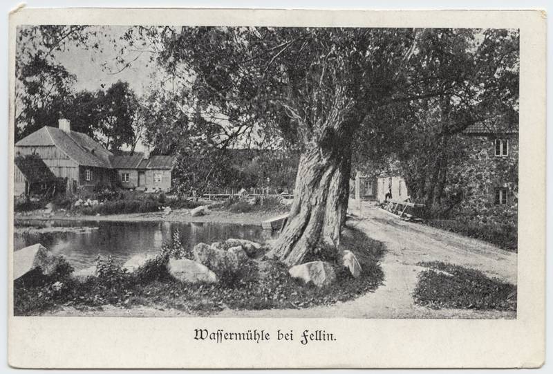 trükipostkaart, Viljandi, Kösti järv, veski, elamu, u 1905