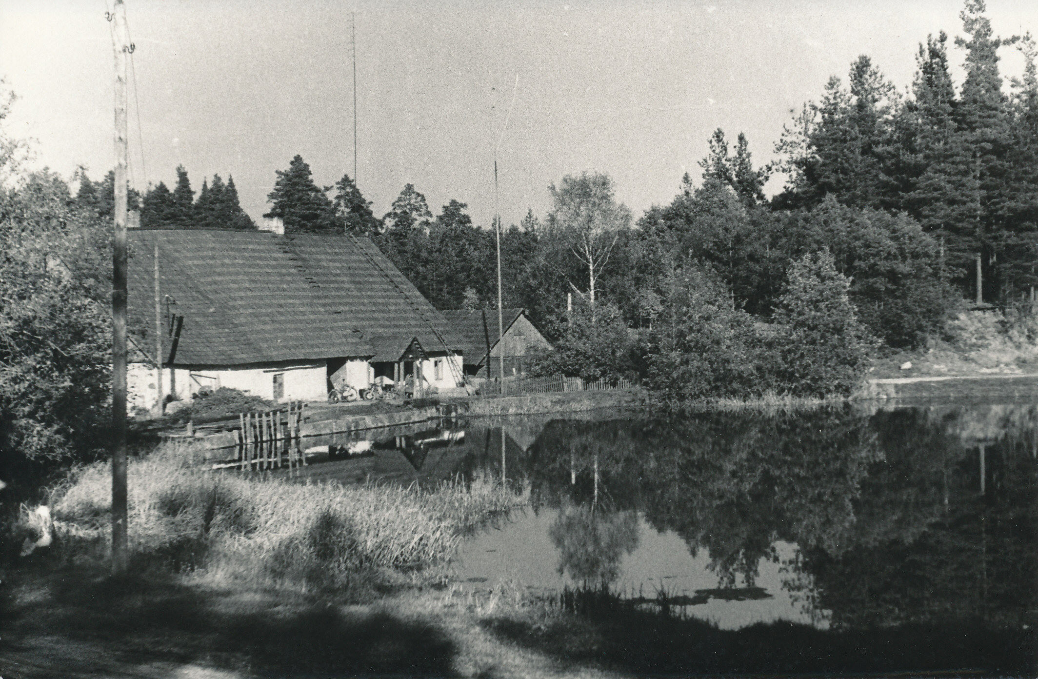 Foto. Vaade Kaku veskile oktoobris 1966.a.