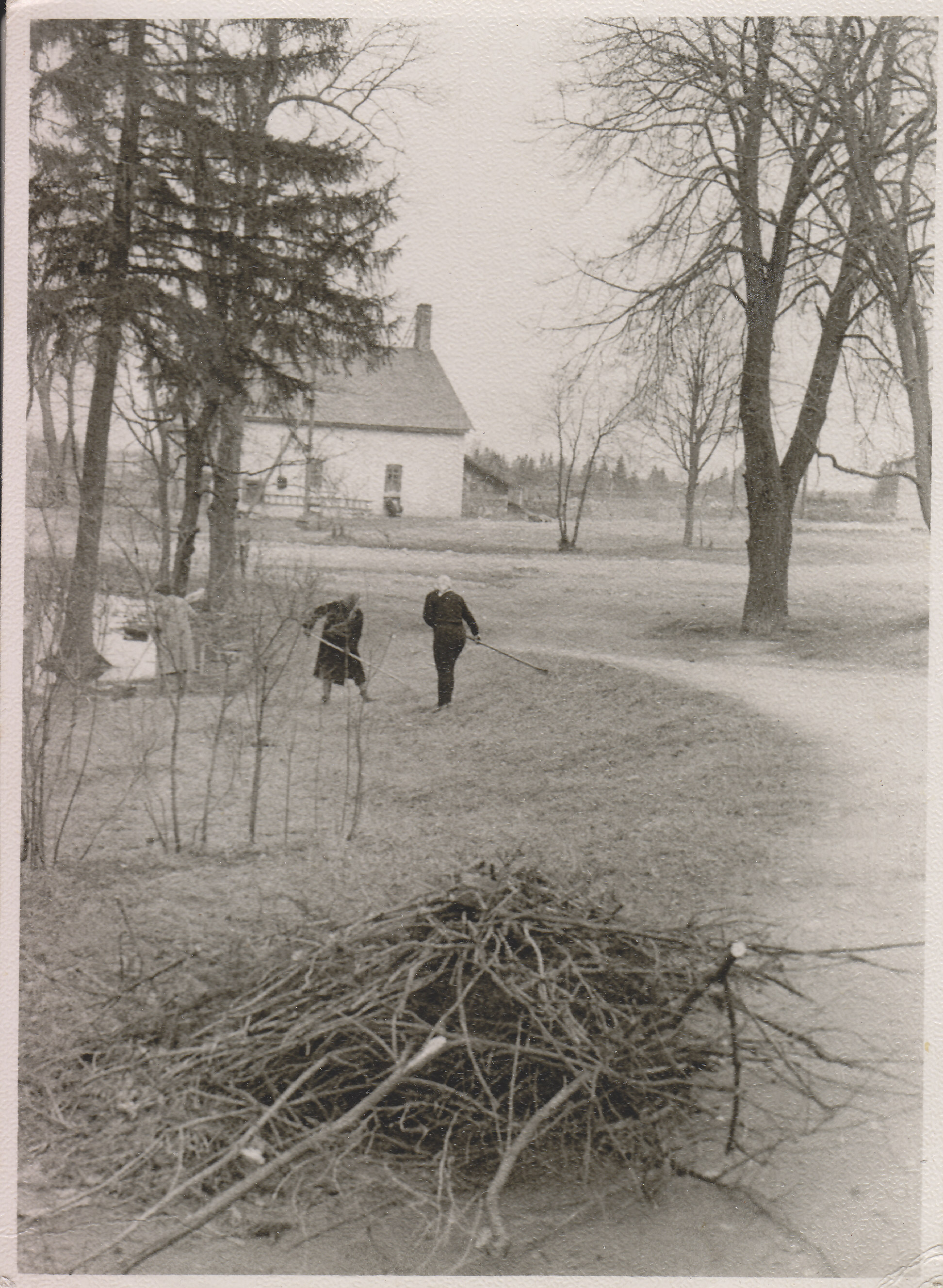Lasila.view the grain dryer