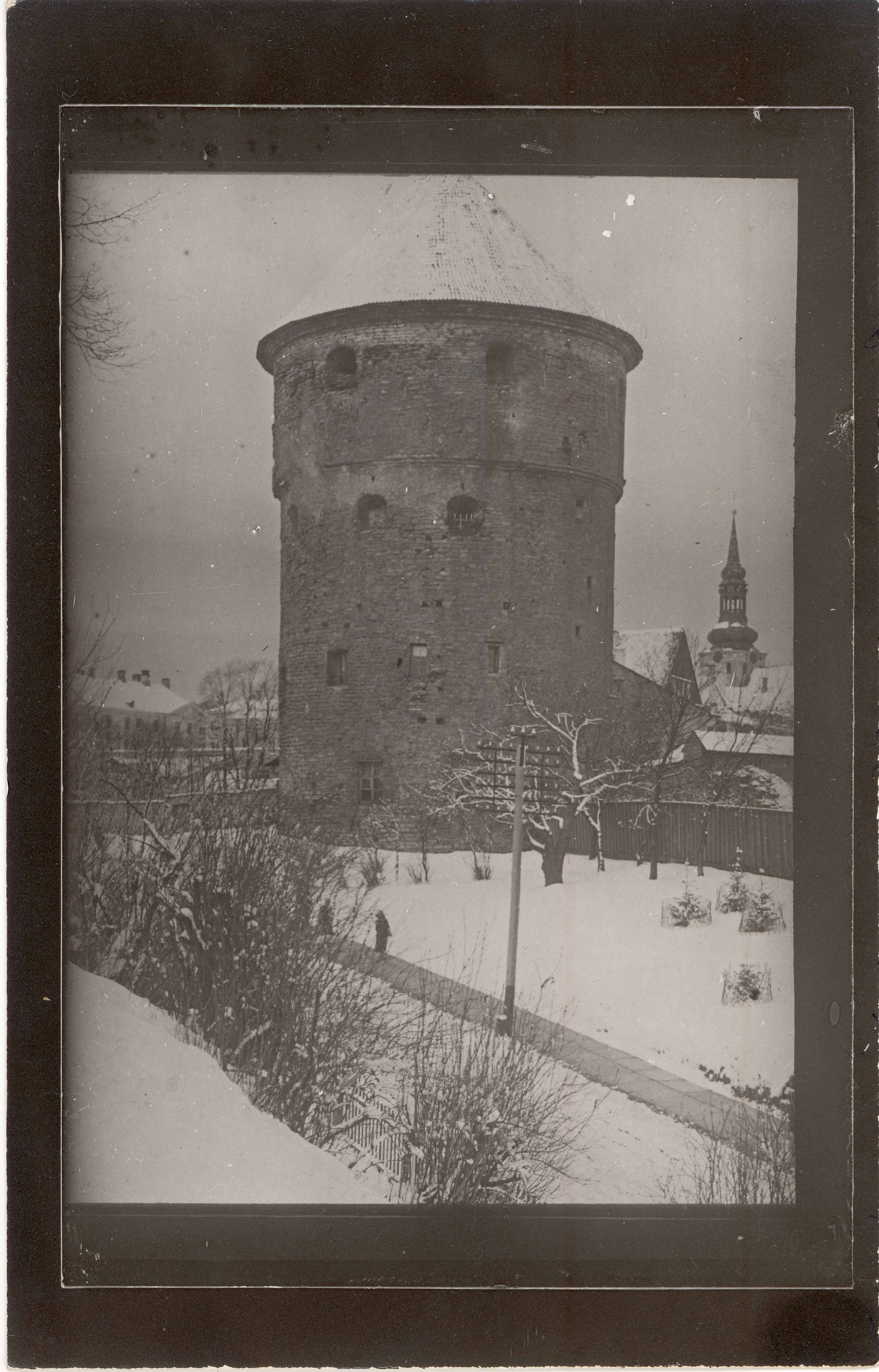 All-city. View Kiek in de Köki tower from SO. Background Toomkiriku tower