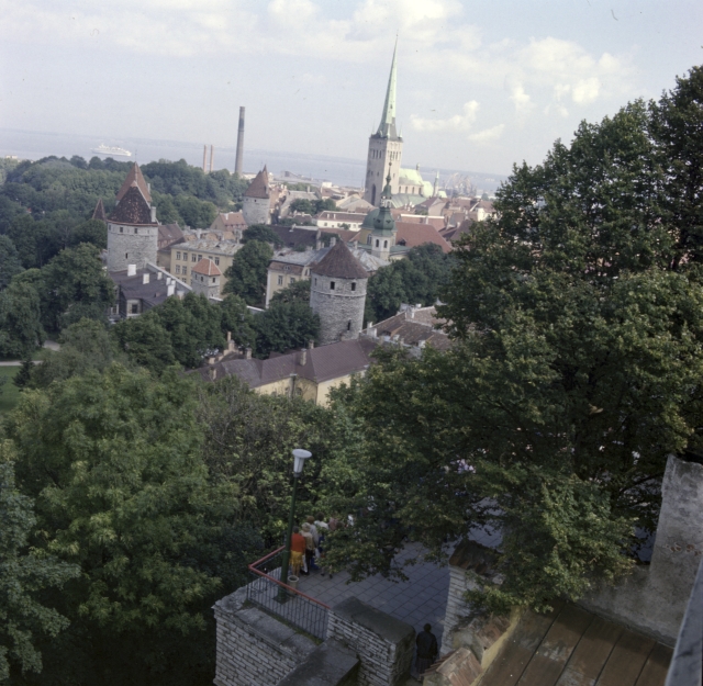 Tallinn. Patkuli vaateplatvorm.
