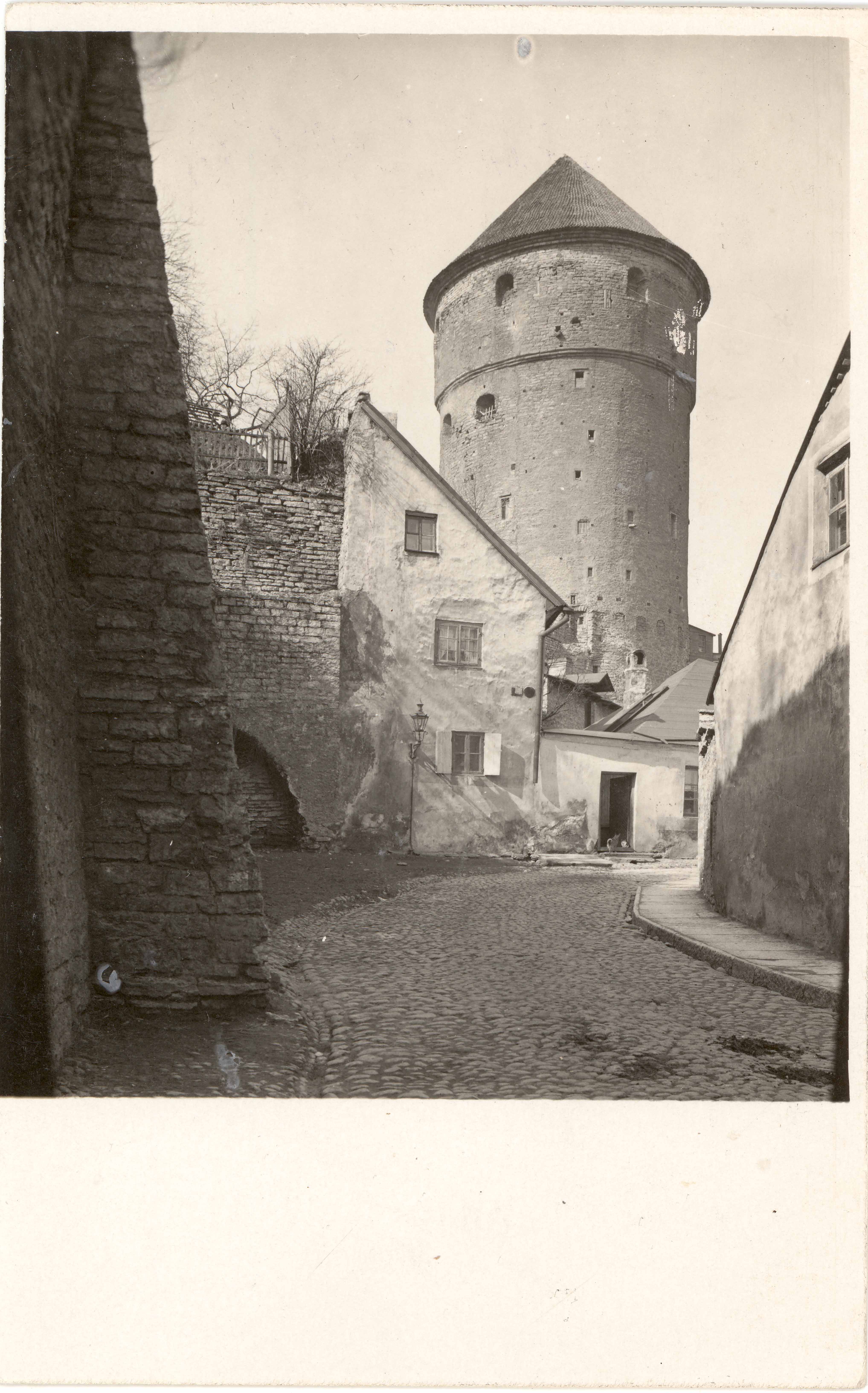 All-city. View Kiek in de Kök Tower from Rüütli Street