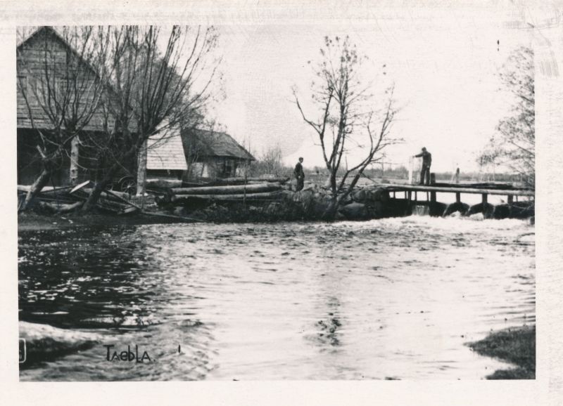 Foto. Taebla jõgi ja vesiveski. 1963. Ü. p. postkaardilt. M. Arro.