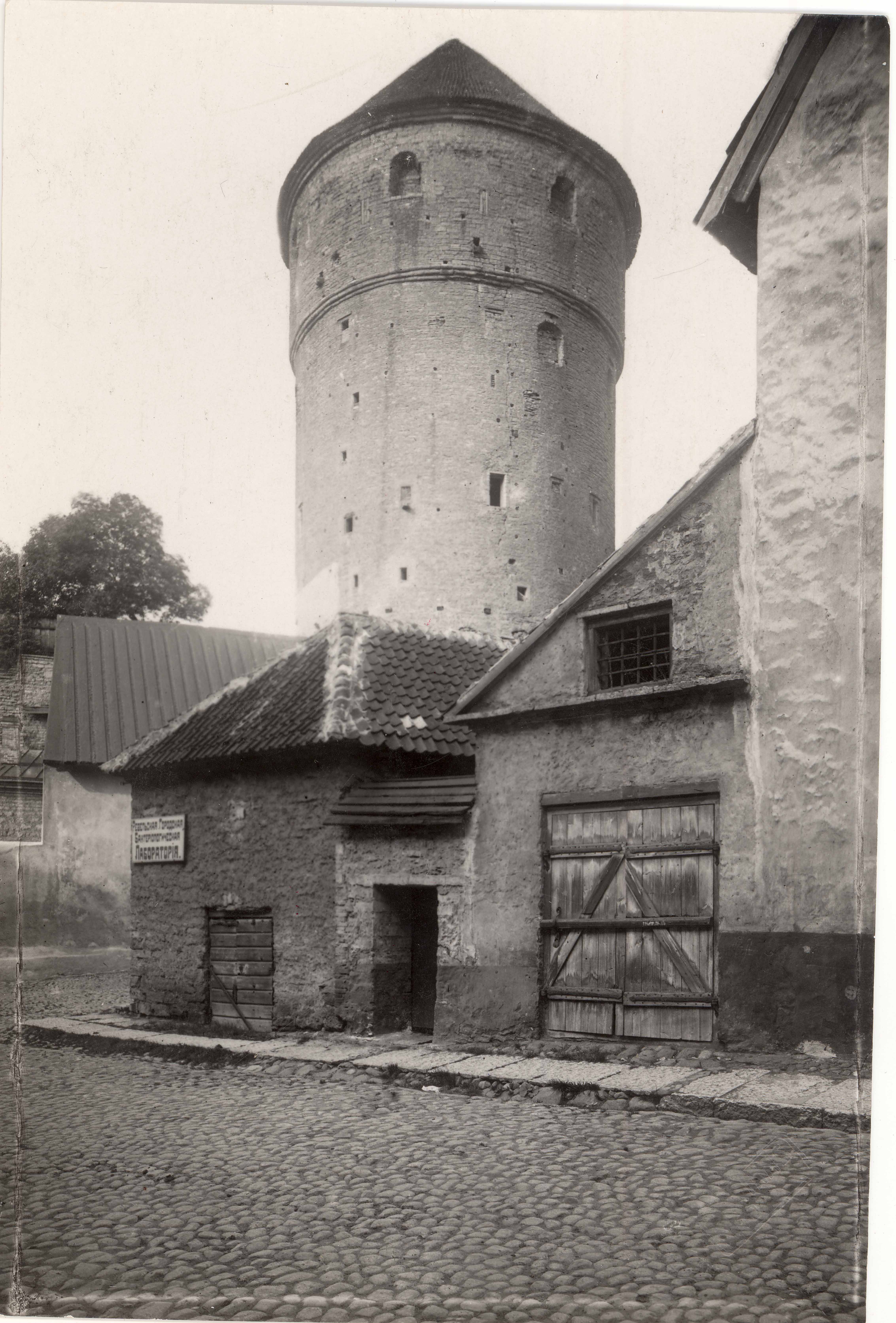 All-city. View Kiek in de Kök Tower from Rüütli Street