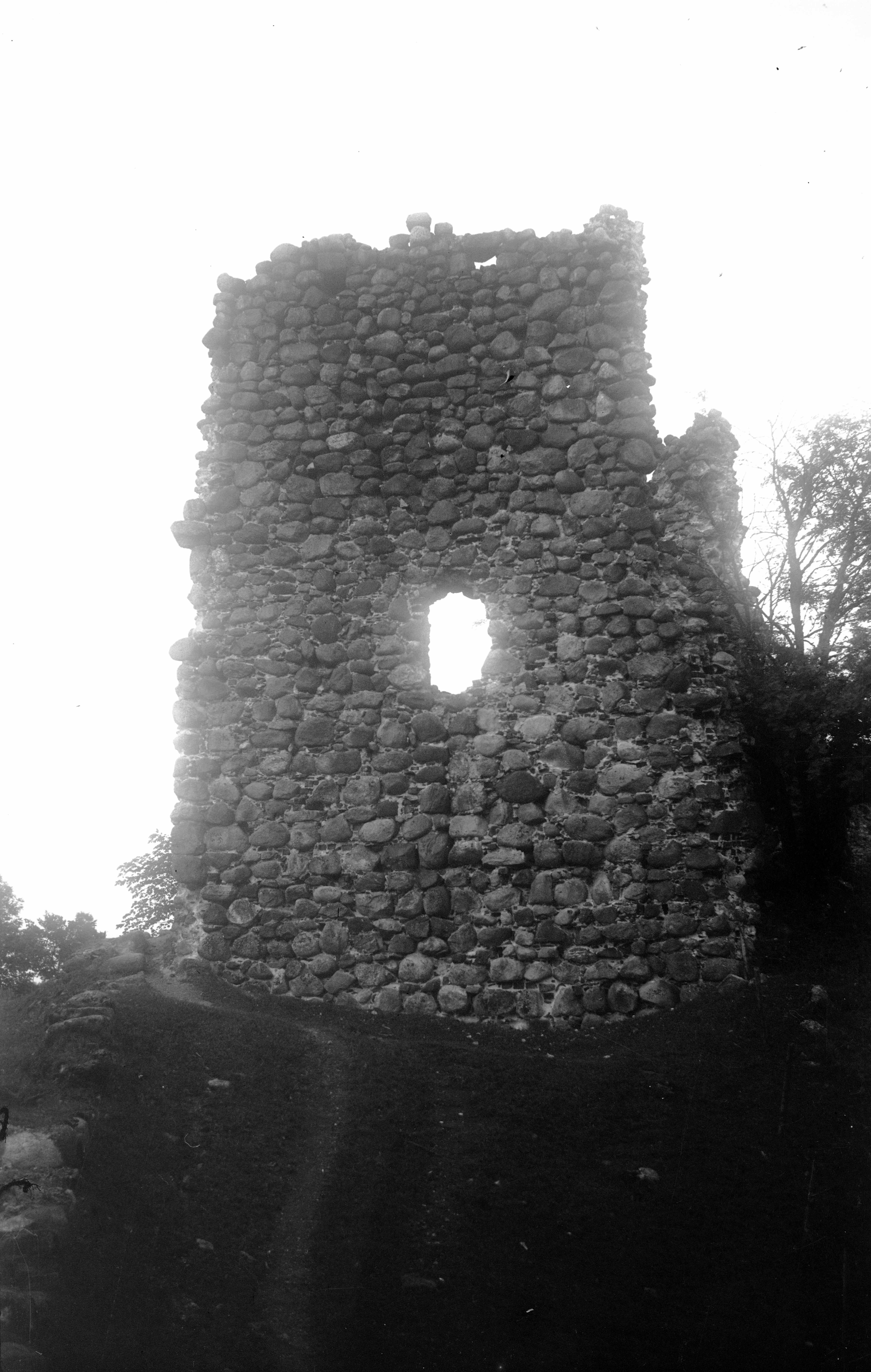 The ruins of the castle. Tower