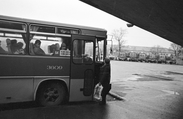 Uued "Ikarus" bussid Tallinnas.