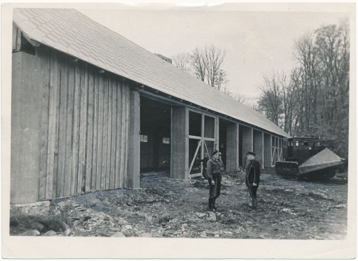 Foto. Hiiu masina-traktorijaama uus kombainikuur. 1953. Fotogr. J. Vatser.