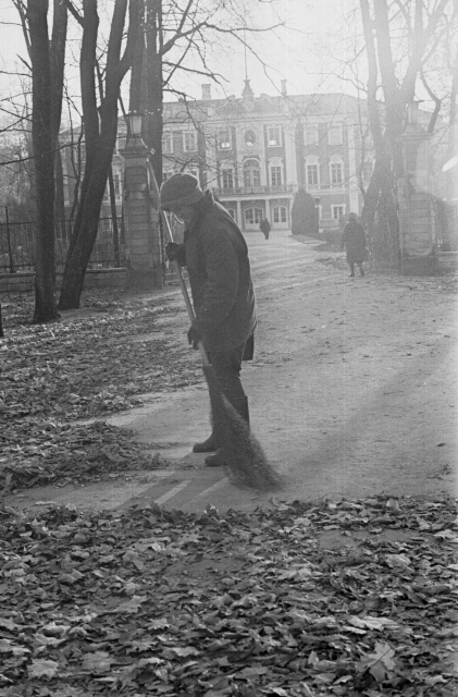 Lehtede koristus Kadriorus.