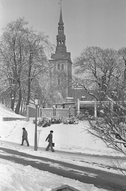 Talvine Tallinn. Harjumägi.