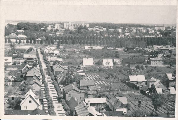 Supilinn, vaade õllevabriku tornist jõe suunas. Tartu, 1965.