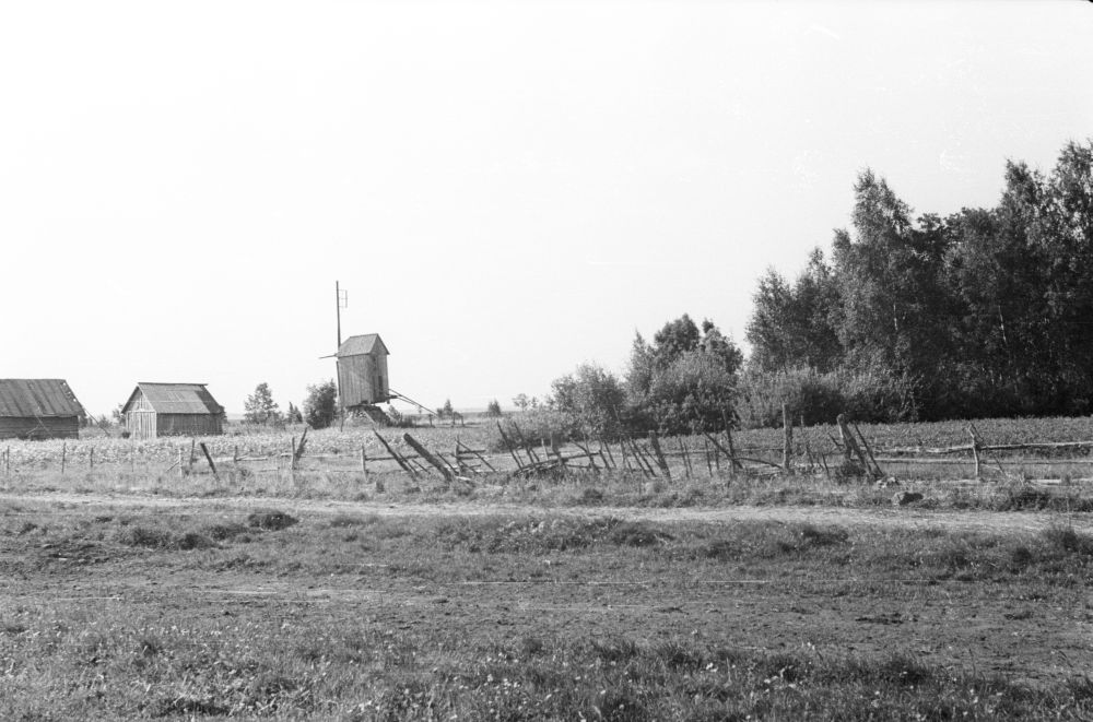 Pukktuulik Lassi külas