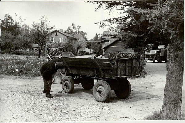 foto, hobuveok Paide veetorn-elamu ees 1990.a.