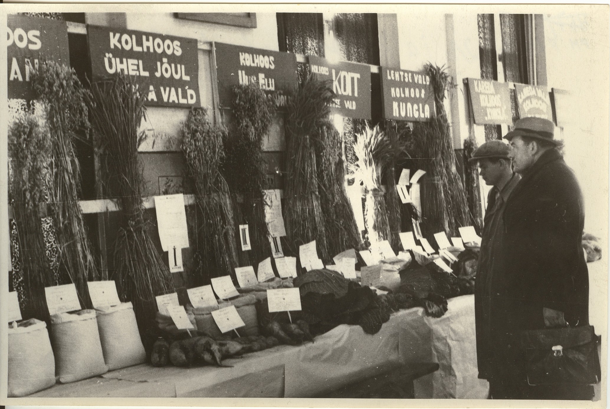 foto, Esimene kolhooside põllumajanduslik näitus Paide Kultuurimajas 23.-24.0kt.1949.a.