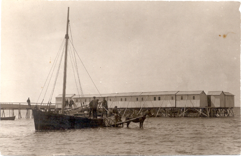 Foto. Muda laadimine pargaselt hobuvankrile madalas Haapsalu Eeslahes. Tagaplaanil supelmajad. 1930. aastad.