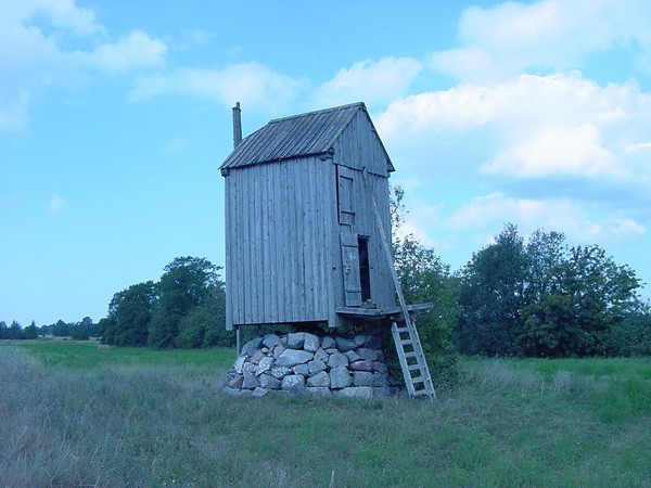 Tiirmetsa windfall Saare county Salme county Lõmala village