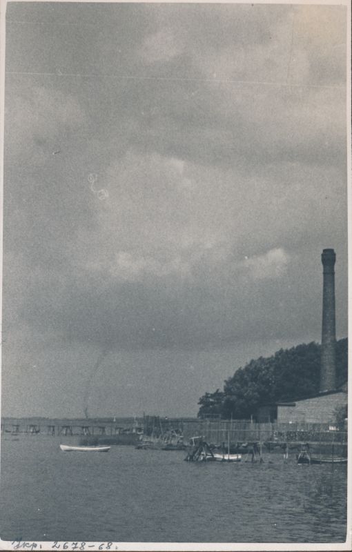 Foto. Dampfi album. Vesipüks Haapsalu Eeslahel, jäädvustatud linna supelasutuse lähistel merel.  31. juuli 1932.
