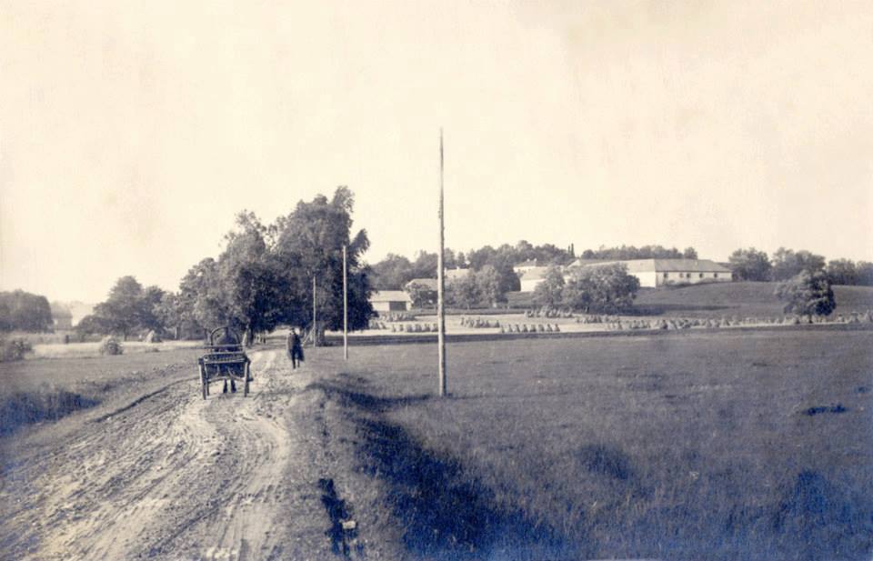 Czar-time Kuremaa, swim right now on the left side of the road.